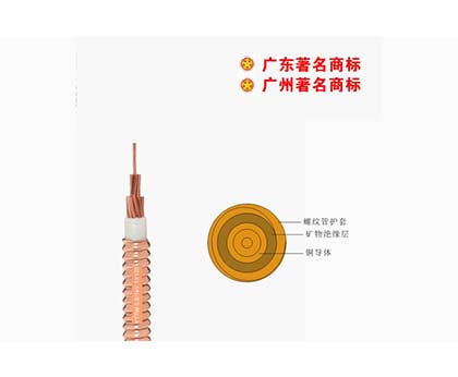 YTTW-0.6/1kVʵ